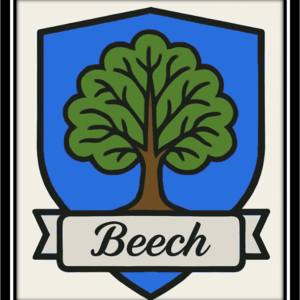 Beech