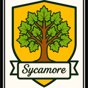 Sycamore